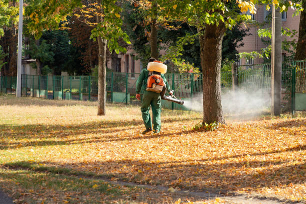 Best Emergency Pest Control  in Fort Washington, PA