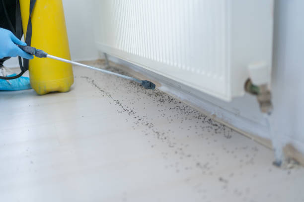 Best Best Pest Control Companies  in Fort Washington, PA