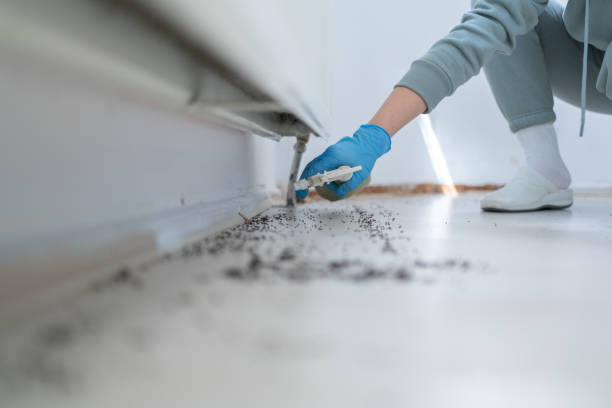 Trusted Fort Washington, PA Pest Control Experts