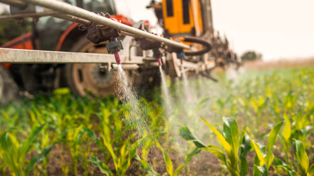 Best Pest Removal Services  in Fort Washington, PA